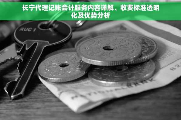 长宁代理记账会计服务内容详解、收费标准透明化及优势分析