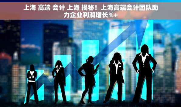 上海 高端 会计 上海 揭秘！上海高端会计团队助力企业利润增长%+