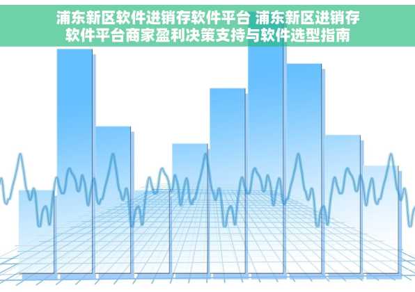 浦东新区软件进销存软件平台 浦东新区进销存软件平台商家盈利决策支持与软件选型指南