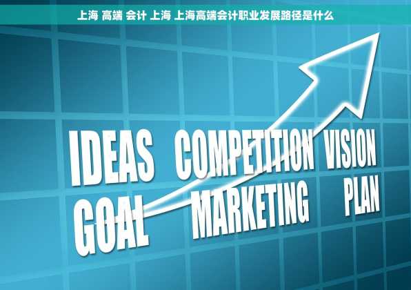 上海 高端 会计 上海 上海高端会计职业发展路径是什么