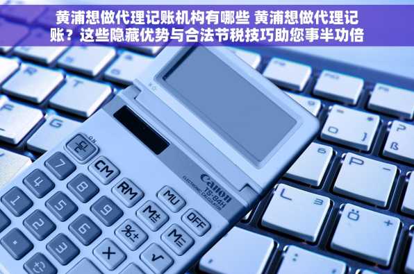 黄浦想做代理记账机构有哪些 黄浦想做代理记账？这些隐藏优势与合法节税技巧助您事半功倍
