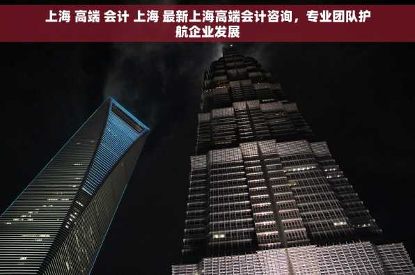 上海 高端 会计 上海 最新上海高端会计咨询，专业团队护航企业发展