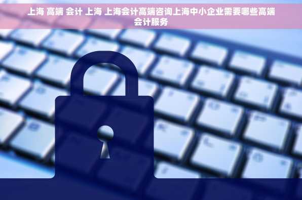 上海 高端 会计 上海 上海会计高端咨询上海中小企业需要哪些高端会计服务