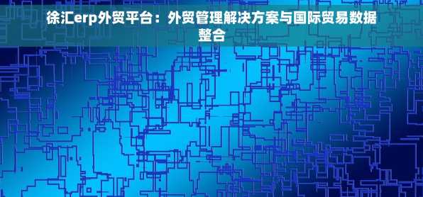 徐汇erp外贸平台：外贸管理解决方案与国际贸易数据整合
