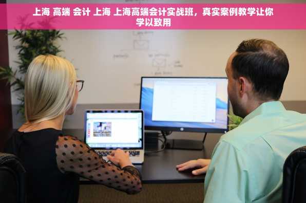 上海 高端 会计 上海 上海高端会计实战班，真实案例教学让你学以致用
