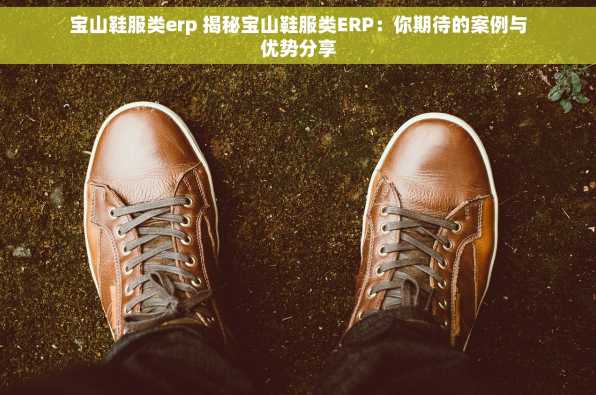 宝山鞋服类erp 揭秘宝山鞋服类ERP：你期待的案例与优势分享