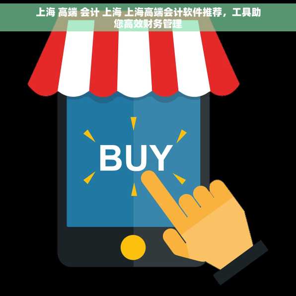 上海 高端 会计 上海 上海高端会计软件推荐，工具助您高效财务管理