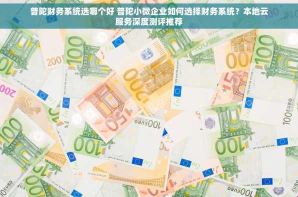 普陀财务系统选哪个好 普陀小微企业如何选择财务系统？本地云服务深度测评推荐
