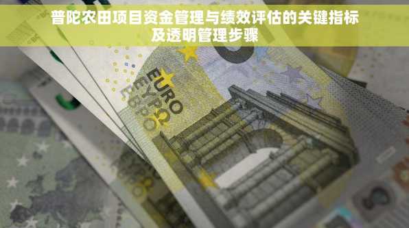 普陀农田项目资金管理与绩效评估的关键指标及透明管理步骤