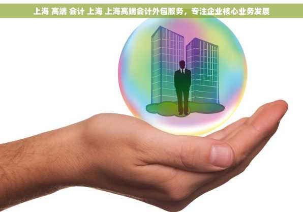 上海 高端 会计 上海 上海高端会计外包服务，专注企业核心业务发展