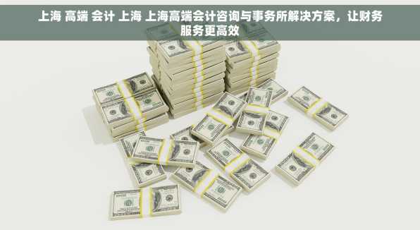 上海 高端 会计 上海 上海高端会计咨询与事务所解决方案，让财务服务更高效