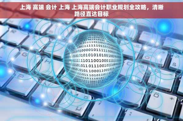 上海 高端 会计 上海 上海高端会计职业规划全攻略，清晰路径直达目标