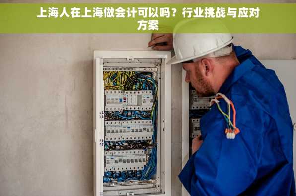 上海人在上海做会计可以吗？行业挑战与应对方案