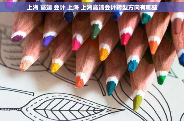 上海 高端 会计 上海 上海高端会计转型方向有哪些