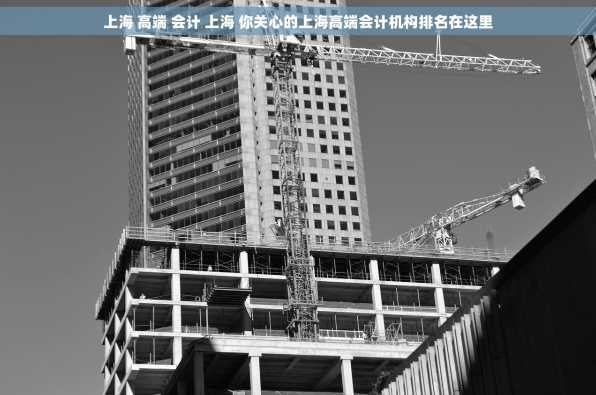 上海 高端 会计 上海 你关心的上海高端会计机构排名在这里