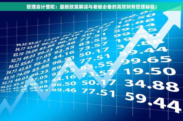 管理会计普陀：最新政策解读与老板必备的高效财务管理秘籍！