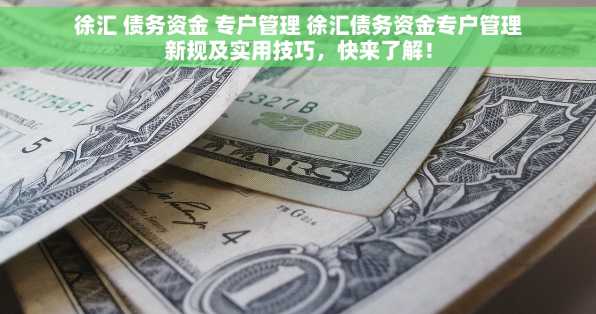 徐汇 债务资金 专户管理 徐汇债务资金专户管理新规及实用技巧，快来了解！
