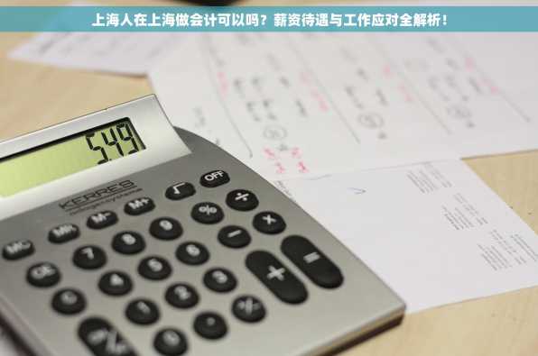 上海人在上海做会计可以吗？薪资待遇与工作应对全解析！
