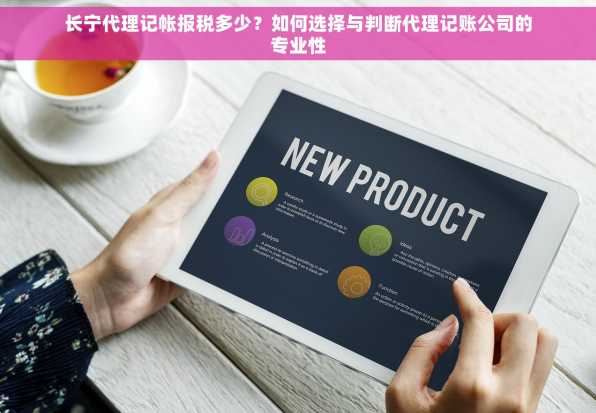 长宁代理记帐报税多少？如何选择与判断代理记账公司的专业性