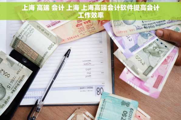 上海 高端 会计 上海 上海高端会计软件提高会计工作效率