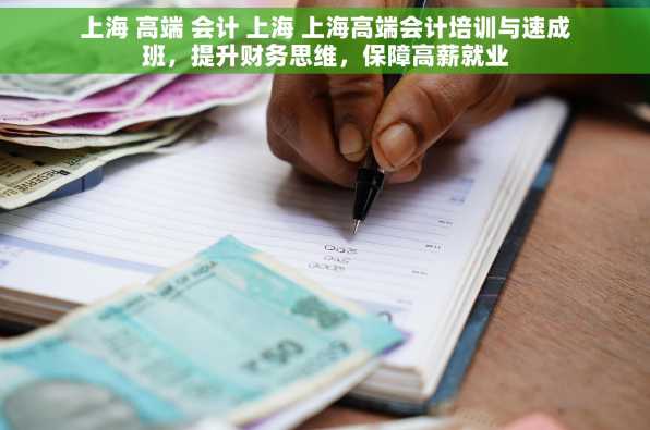 上海 高端 会计 上海 上海高端会计培训与速成班，提升财务思维，保障高薪就业