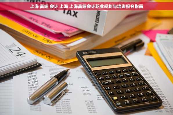 上海 高端 会计 上海 上海高端会计职业规划与培训报名指南