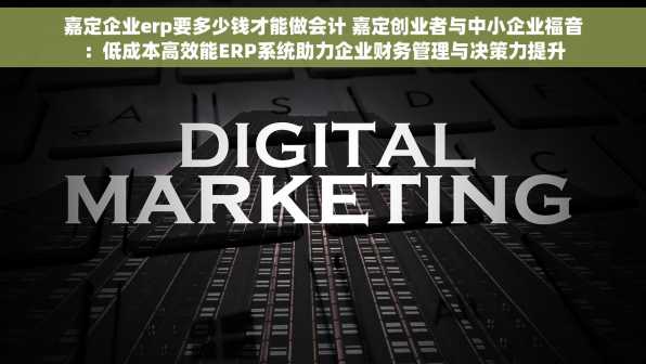 嘉定企业erp要多少钱才能做会计 嘉定创业者与中小企业福音：低成本高效能ERP系统助力企业财务管理与决策力提升