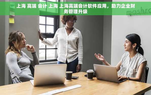 上海 高端 会计 上海 上海高端会计软件应用，助力企业财务管理升级