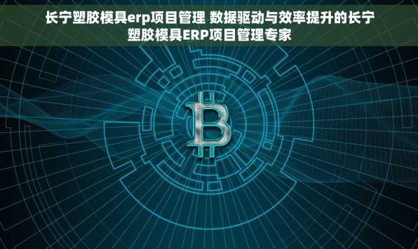 长宁塑胶模具erp项目管理 数据驱动与效率提升的长宁塑胶模具ERP项目管理专家