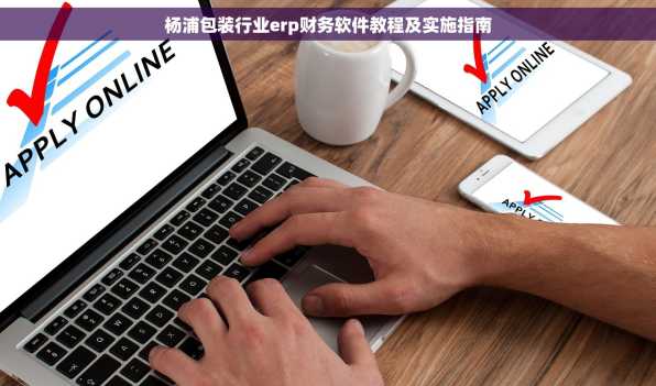 杨浦包装行业erp财务软件教程及实施指南