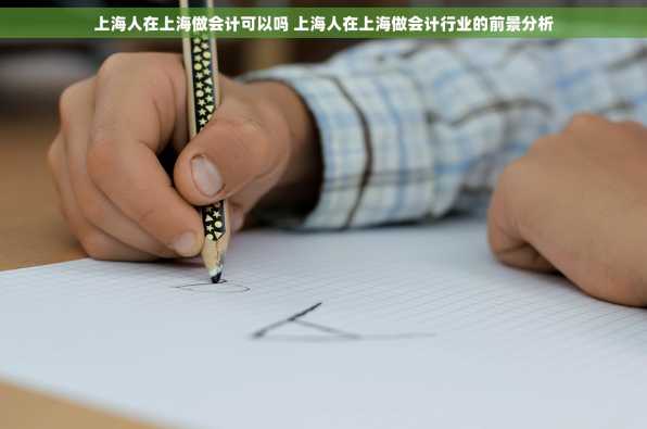 上海人在上海做会计可以吗 上海人在上海做会计行业的前景分析