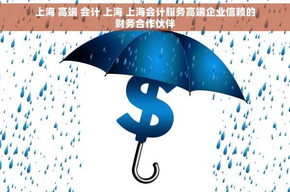 上海 高端 会计 上海 上海会计服务高端企业信赖的财务合作伙伴