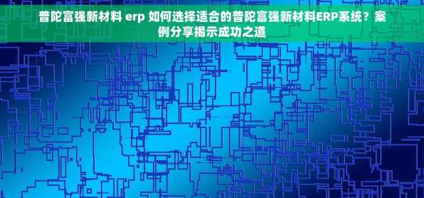 普陀富强新材料 erp 如何选择适合的普陀富强新材料ERP系统？案例分享揭示成功之道