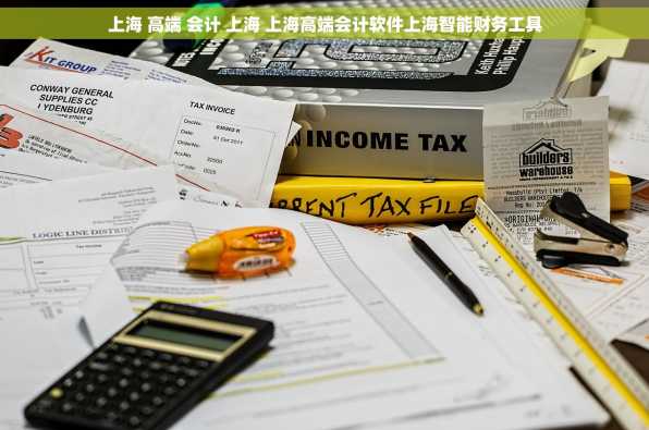 上海 高端 会计 上海 上海高端会计软件上海智能财务工具