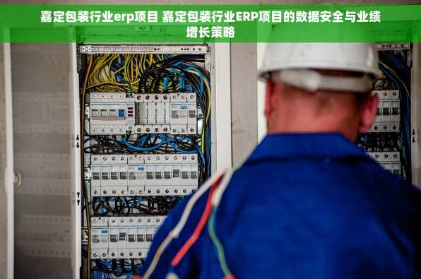 嘉定包装行业erp项目 嘉定包装行业ERP项目的数据安全与业绩增长策略
