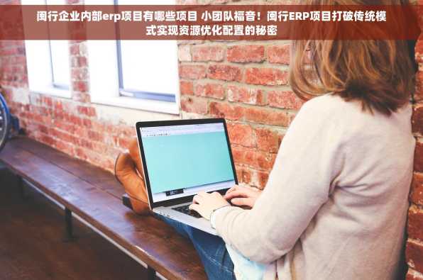 闽行企业内部erp项目有哪些项目 小团队福音！闽行ERP项目打破传统模式实现资源优化配置的秘密