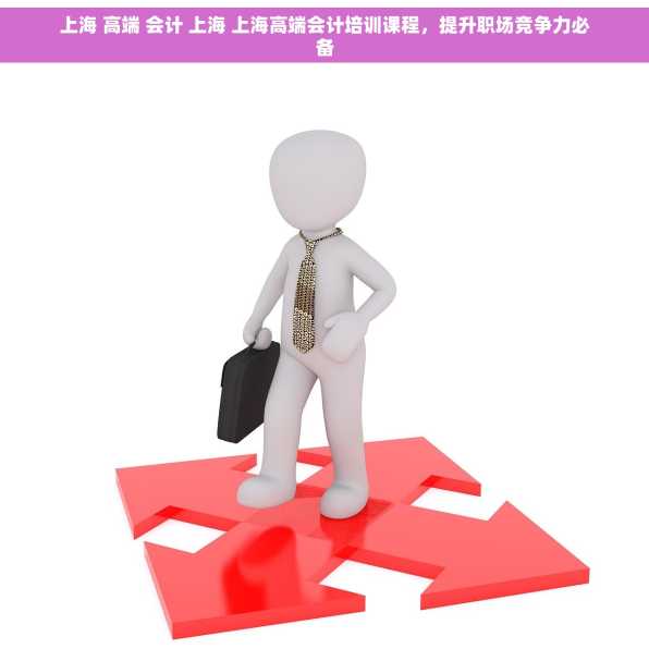 上海 高端 会计 上海 上海高端会计培训课程，提升职场竞争力必备