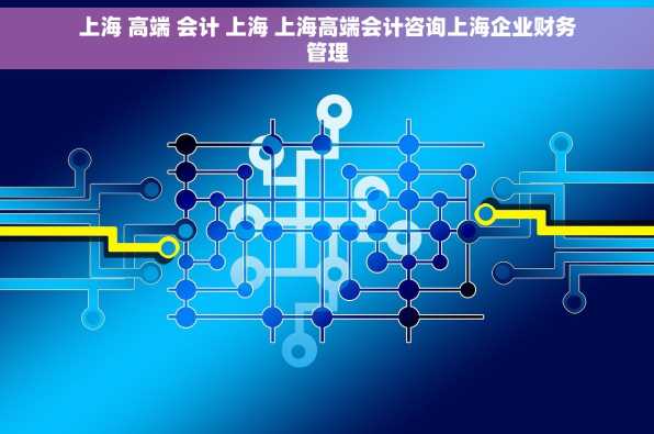 上海 高端 会计 上海 上海高端会计咨询上海企业财务管理
