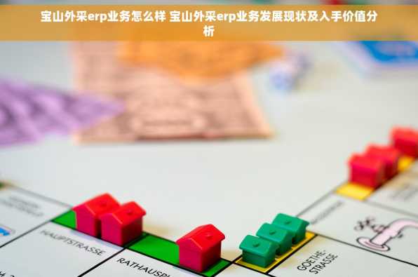 宝山外采erp业务怎么样 宝山外采erp业务发展现状及入手价值分析