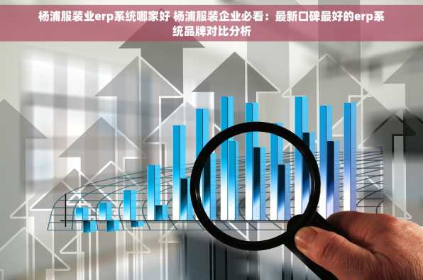 杨浦服装业erp系统哪家好 杨浦服装企业必看：最新口碑最好的erp系统品牌对比分析