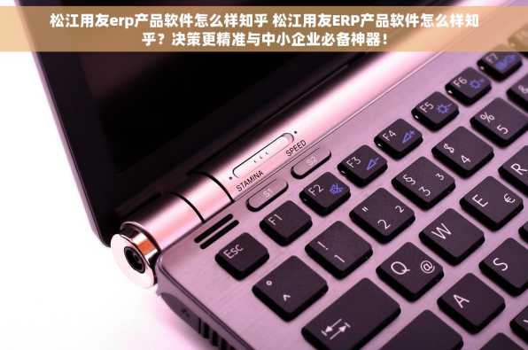 松江用友erp产品软件怎么样知乎 松江用友ERP产品软件怎么样知乎？决策更精准与中小企业必备神器！