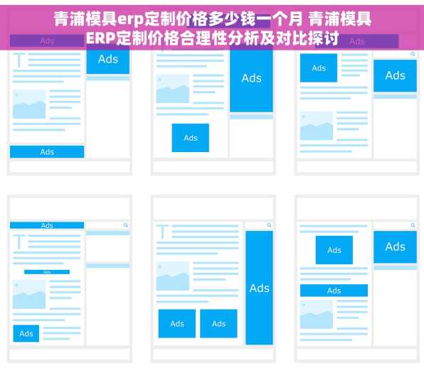 青浦模具erp定制价格多少钱一个月 青浦模具ERP定制价格合理性分析及对比探讨