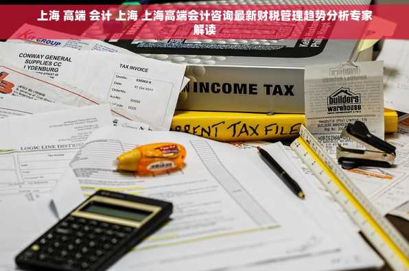 上海 高端 会计 上海 上海高端会计咨询最新财税管理趋势分析专家解读
