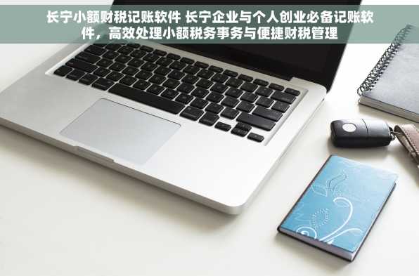 长宁小额财税记账软件 长宁企业与个人创业必备记账软件，高效处理小额税务事务与便捷财税管理