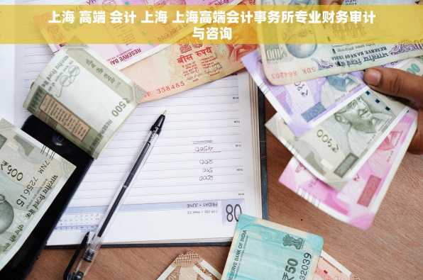 上海 高端 会计 上海 上海高端会计事务所专业财务审计与咨询