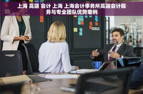 上海 高端 会计 上海 上海会计事务所高端会计服务与专业团队优势案例