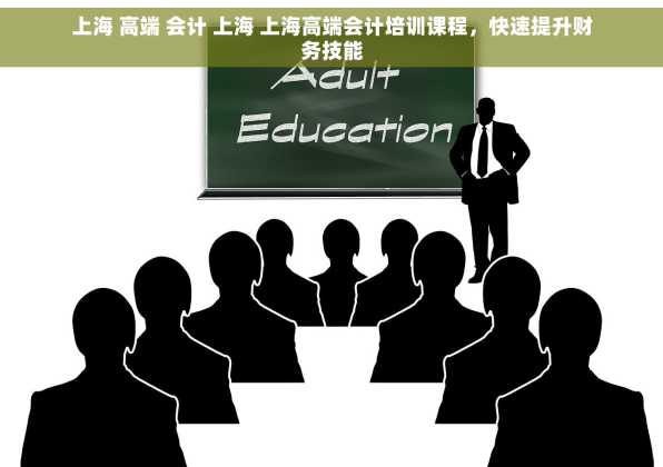 上海 高端 会计 上海 上海高端会计培训课程，快速提升财务技能