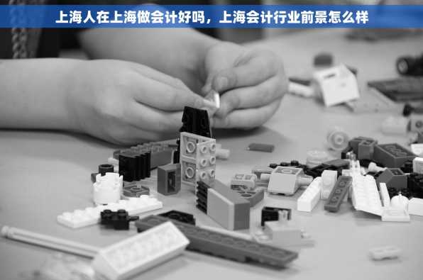 上海人在上海做会计好吗，上海会计行业前景怎么样