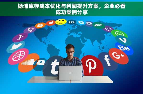 杨浦库存成本优化与利润提升方案，企业必看成功案例分享