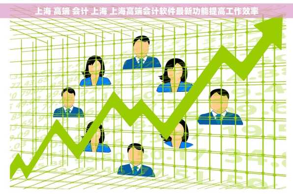上海 高端 会计 上海 上海高端会计软件最新功能提高工作效率